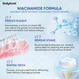 【Tripel Whitening & Tooth stain removal】Niacinamide Whitening Toothpaste-max
